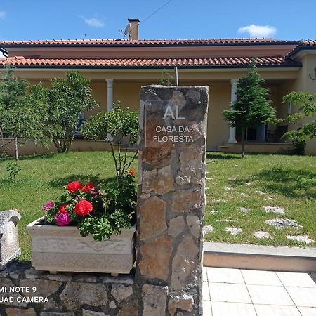 Casa Da Floresta Santiago da Guarda Zewnętrze zdjęcie