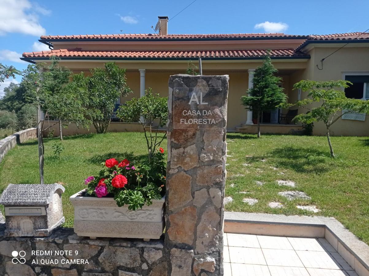 Casa Da Floresta Santiago da Guarda Zewnętrze zdjęcie