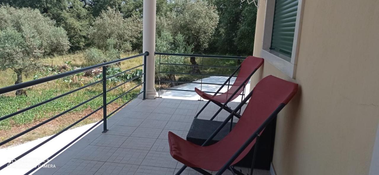 Casa Da Floresta Santiago da Guarda Zewnętrze zdjęcie