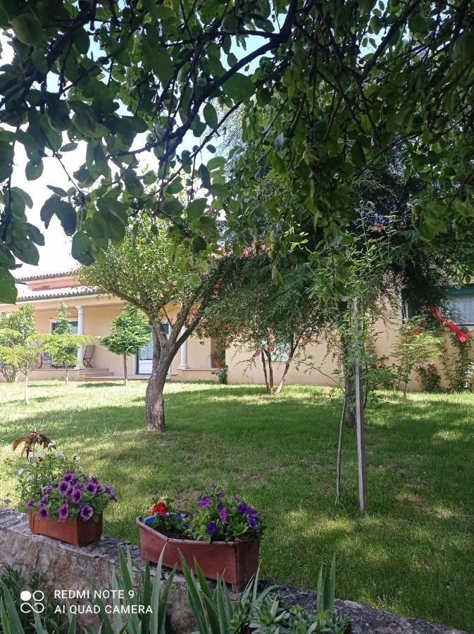 Casa Da Floresta Santiago da Guarda Zewnętrze zdjęcie