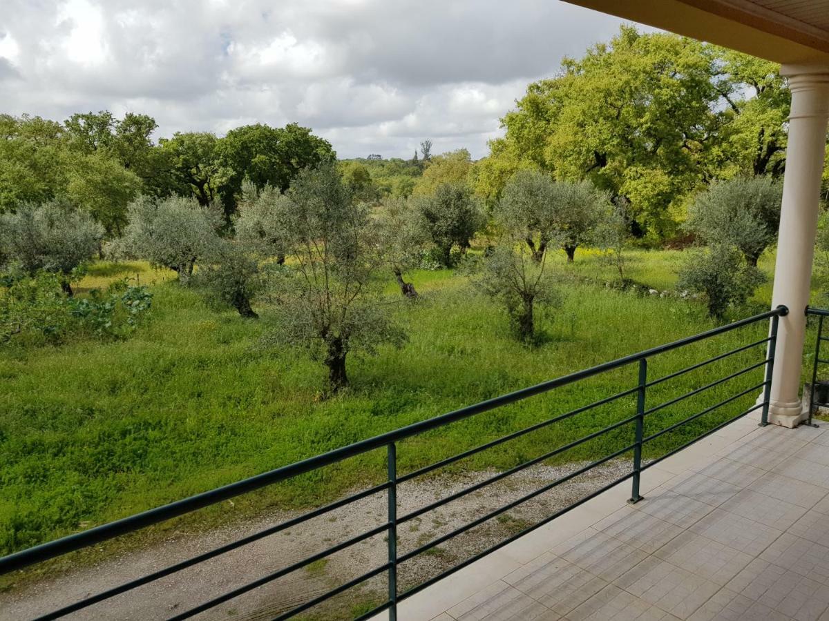Casa Da Floresta Santiago da Guarda Zewnętrze zdjęcie